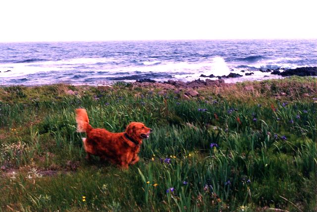Tory enjoying herself on Brier Island, NS