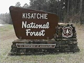 kisatchie forest national campground louisiana campgrounds guide dow forestcamping kisa