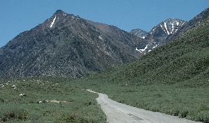 road-to-mcgee-crk-cg-inyo.jpg