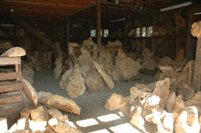 16its_a_burl18.jpg