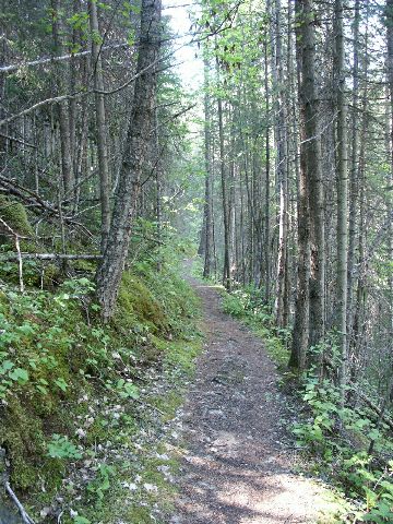 05_cobblk_trail.jpg