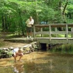 Noteworthy Pockett Campground, Chattachoochee NF (GA)